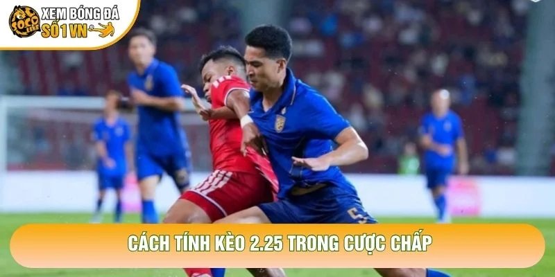 Cách Tính Kèo 2.25 Chuẩn Xác Nhất Cho Người Mới Bắt Đầu