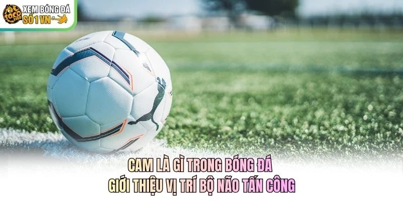 CAM Là Gì Trong Bóng Đá – Giới Thiệu Vị Trí Bộ Não Tấn Công