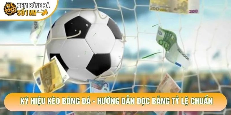 Ký Hiệu Kèo Bóng Đá – Hướng Dẫn Đọc Bảng Tỷ Lệ Chuẩn